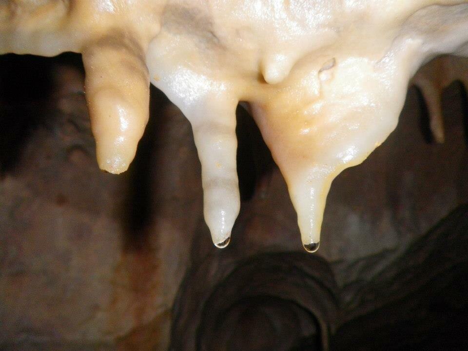 Albergue La Canadilla Uña Dış mekan fotoğraf
